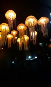 Quallen Solar Berlin